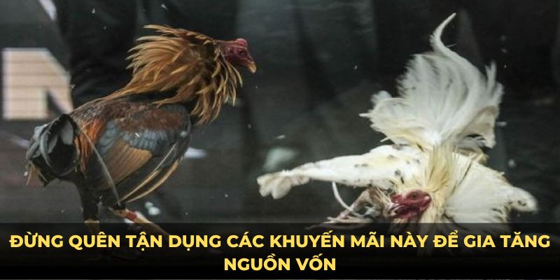 Đừng quên tận dụng các khuyến mãi này để gia tăng nguồn vốn