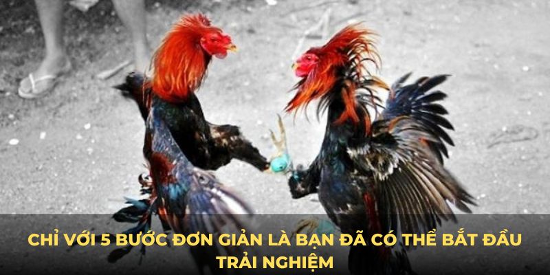 Chỉ với 5 bước đơn giản là bạn đã có thể bắt đầu trải nghiệm