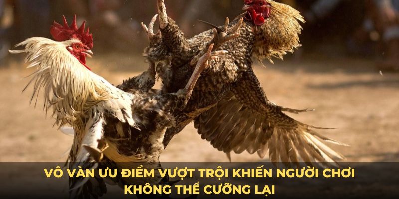 Vô vàn ưu điểm vượt trội khiến người chơi không thể cưỡng lại