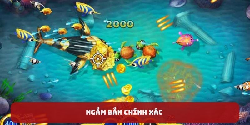 Ngắm bắn chính xác 